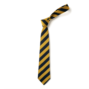 Yellow/Navy Tie