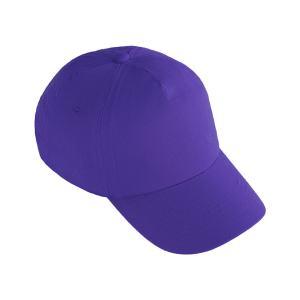 Winchmore Hill & Enfield Hockey Club - Cap