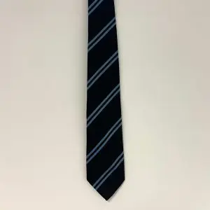 PRE LOVED SOUTHGATE SCHOOL TIE - BLUE
