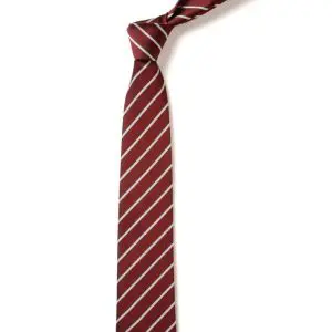 St Andrew's Southgate Elastic Tie