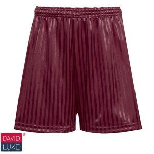 Maroon Shadow Stripe Shorts
