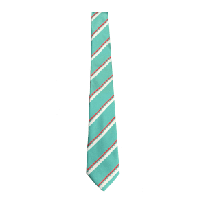 Kingfisher Hall Tie