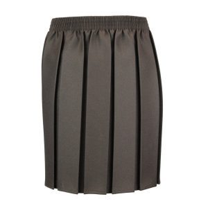 Innovation Box Pleat Skirt Brown