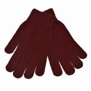 WT Stretch Gloves