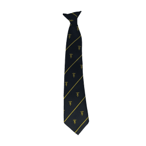 Ashmole Academy Tie