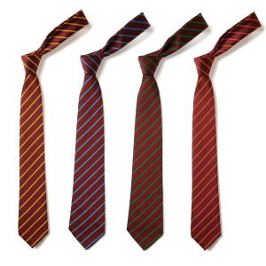 Broxbourne School House Tie