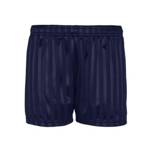 Innovations Navy Shadow Stripe Shorts
